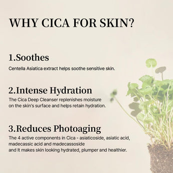 Mixsoon Soondy Centella Asiatica Essence Instant Hydrating & Soothing Essence for Irritated, Sensitive Skin for Korean Skincare for Glass Skin-Jeju Island Cica Extracts (1.69 Fl. Oz.(Pack of 1))