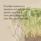 Mixsoon Centella Cleansing Foam 5.07 Fl Oz/ 150Ml,Low Ph Cleansing Foam for Soothing and Moisturization